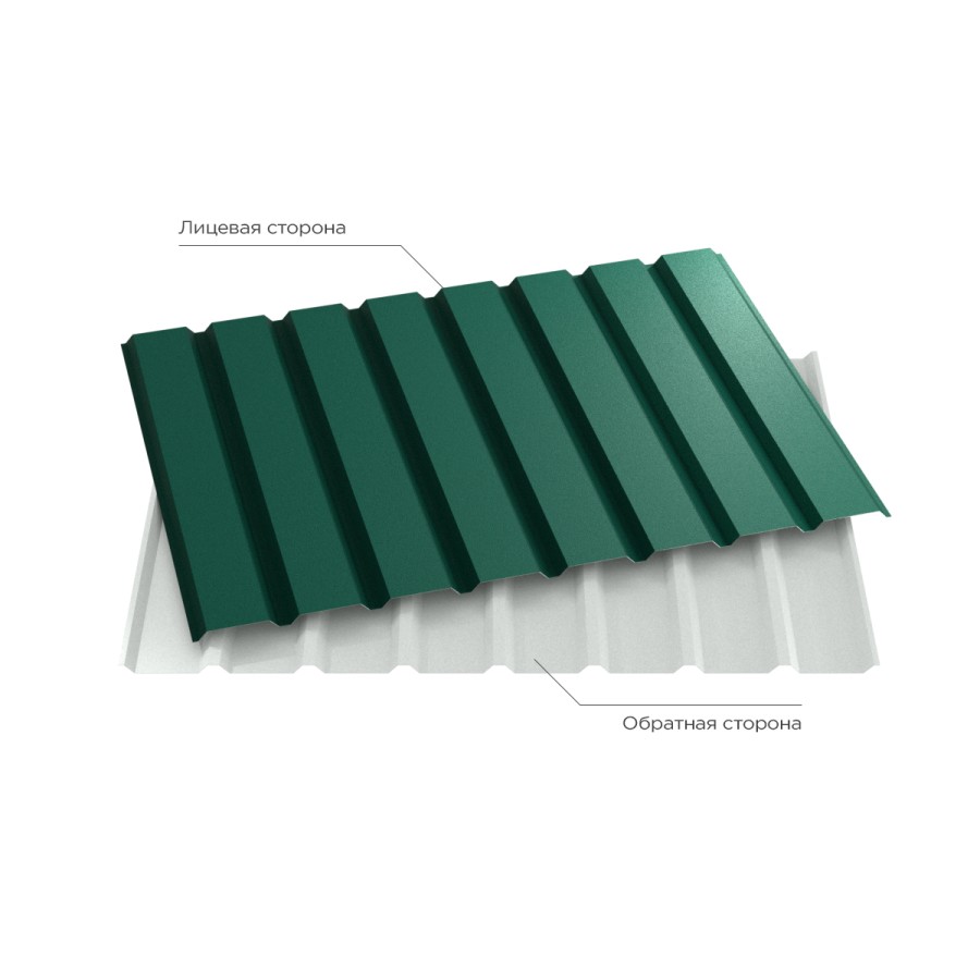 6005